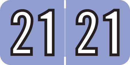 Doctor Stuff - 2021 Medical Chart Stickers, Lilac Color, Amerifile Compatible Series Labels, 3/4