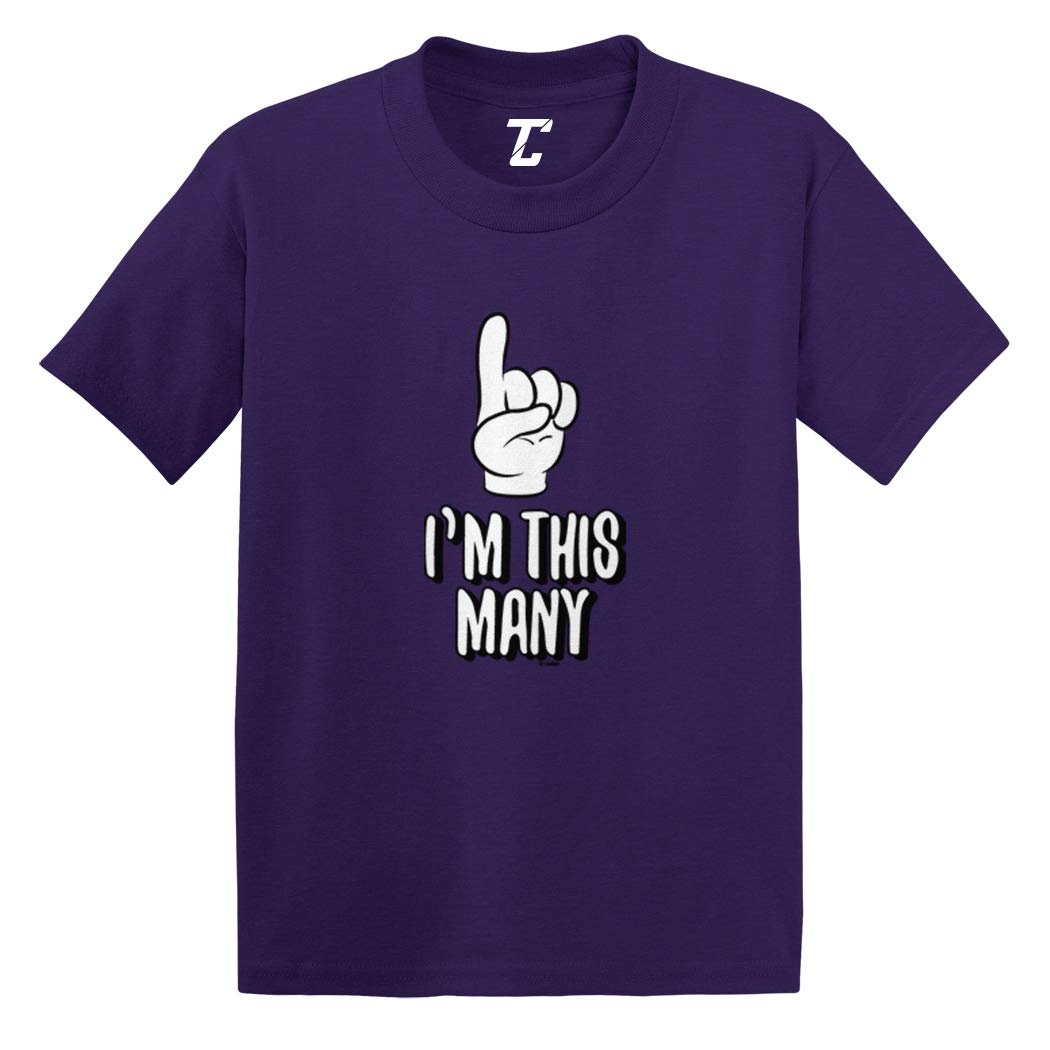 1 Year Old Birthday Outfit - Cute Infant & Toddler Cotton Jersey T-Shirt for Boys & Girls | Perfect for First Birthday Party, Photo Shoots & Special Occasions