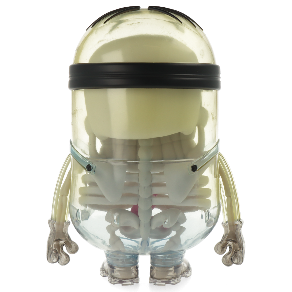 Kidrobot Minions Anatomy 8-Inch Collectible Art Figure - Perfect for Home Decor, Office Display & Gifts for Minions Fans