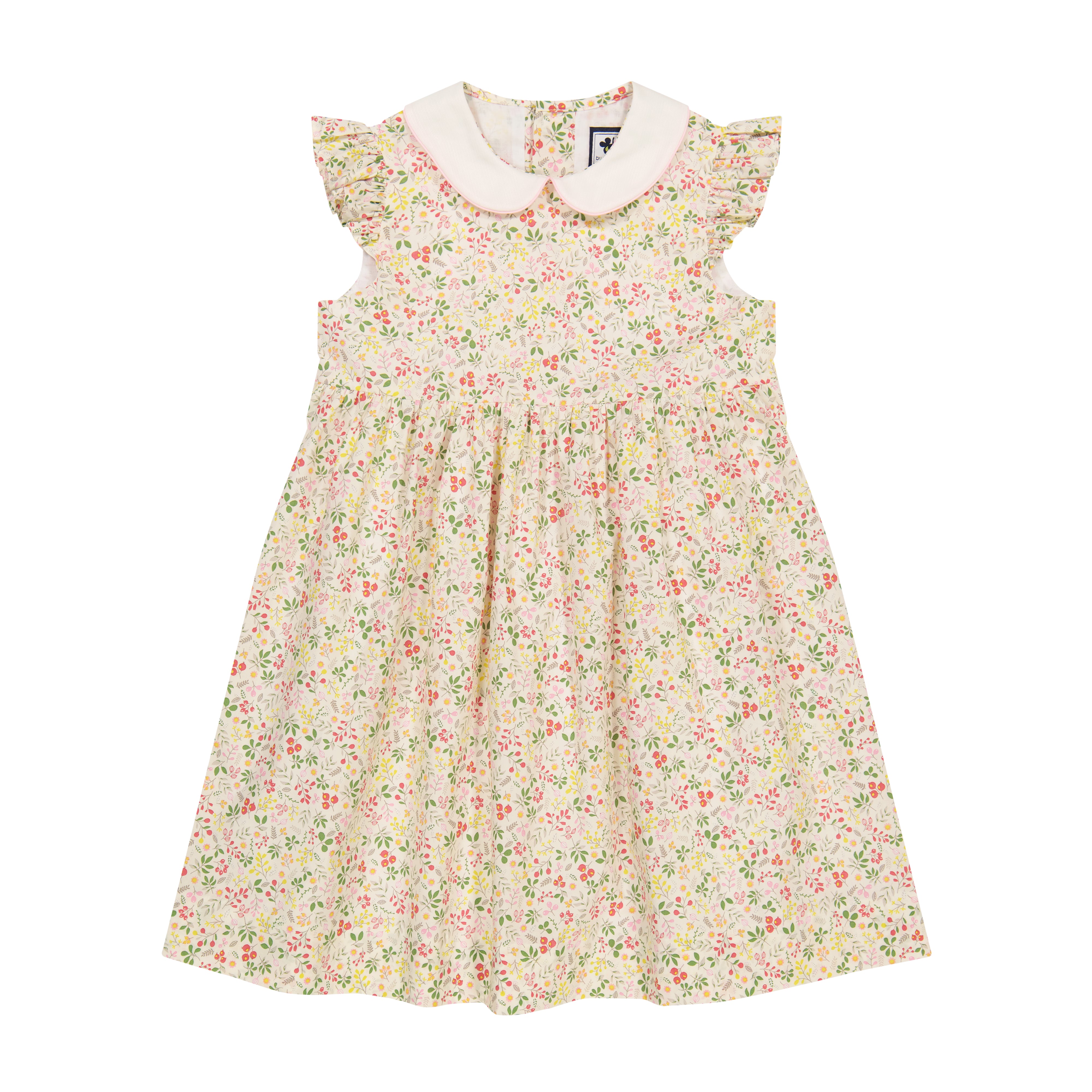 Riley Peter Pan Collar Floral Print Dress for Women | Vintage Inspired A-Line Dress | Perfect for Spring, Summer, Office Wear & Special Occasions
