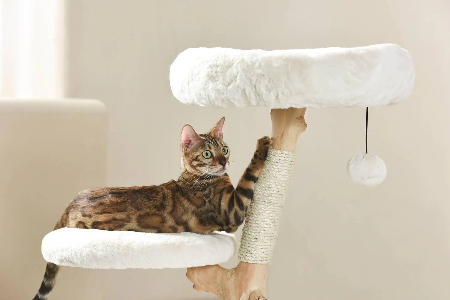 Premium Real Wood Cat Tree for Small Cats - Sturdy & Natural Climbing Perch for Kittens & Indoor Play - Perfect for Apartments & Small Spaces