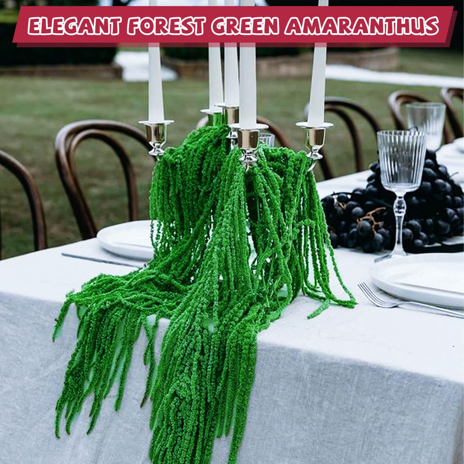 5Pcs Real Dried Amaranthus Hanging Flowers - 23
