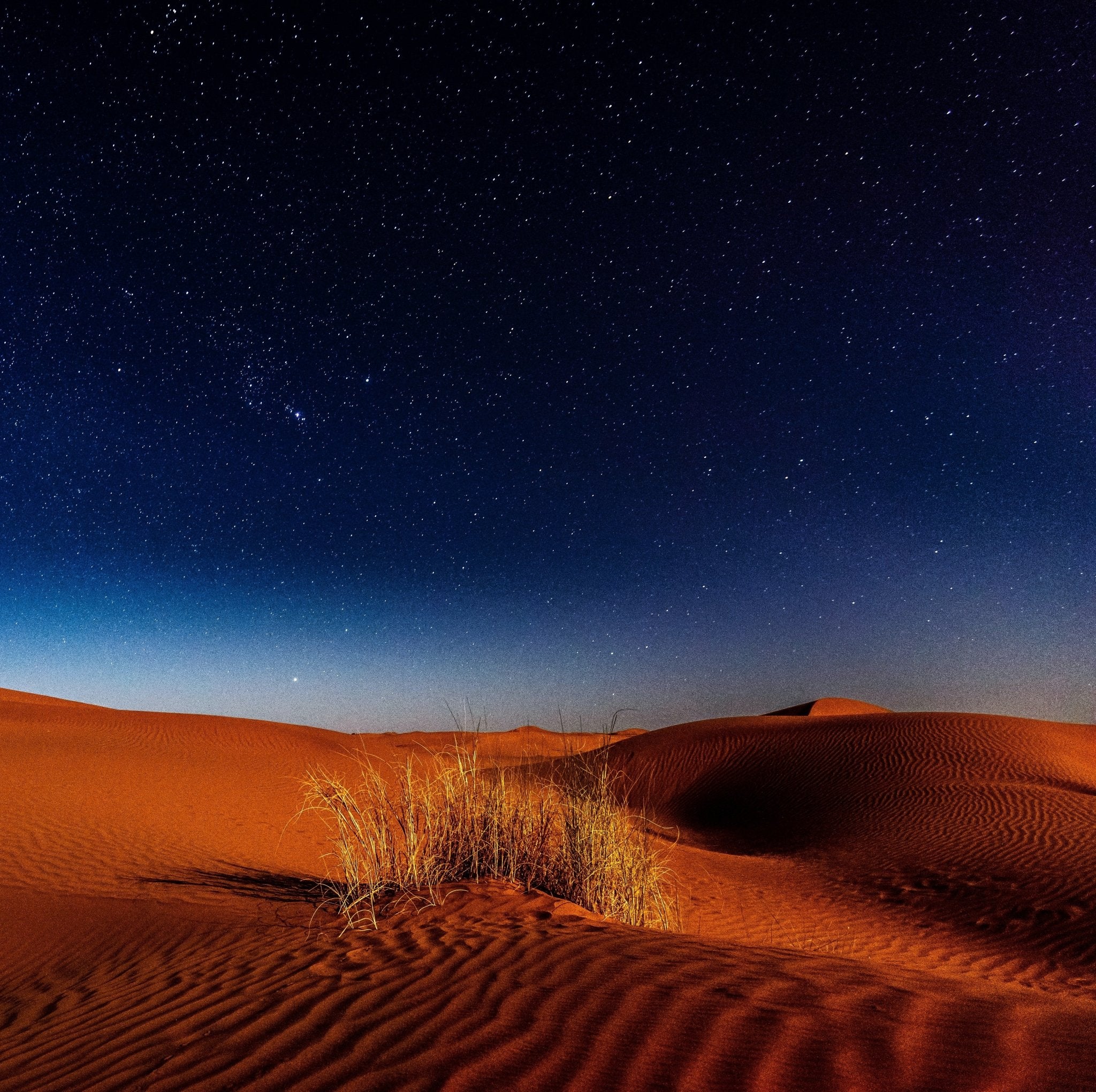 Arabian Nights Fragrance Oil - Exotic Scented Oil for Home Diffusers, Candles & Soap Making | Perfect for Aromatherapy, Relaxation & Gift Giving