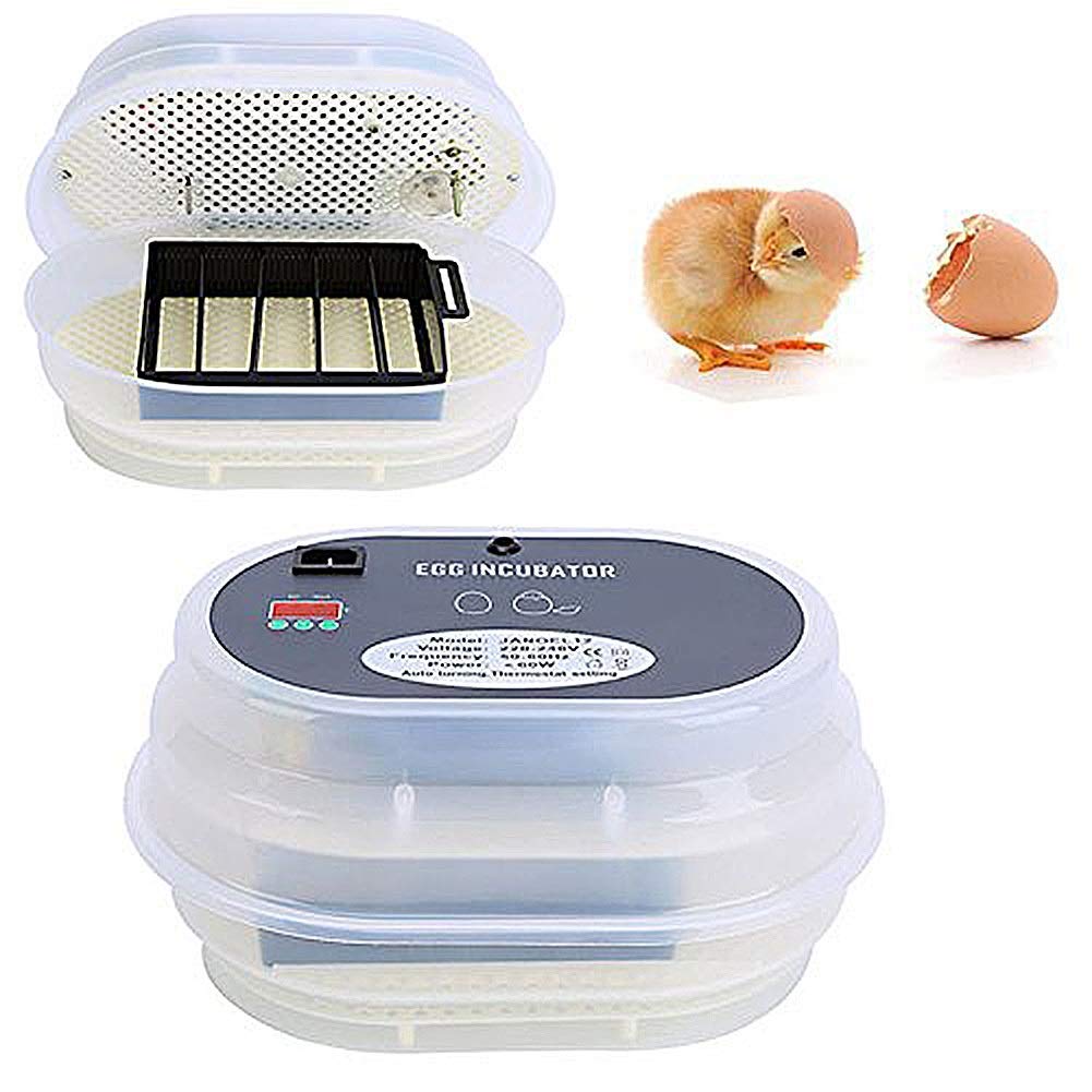 ZKS-KS 12 Egg Digital Automatic Poultry Incubator - Smart Turning Hatcher for Chicken, Duck, Goose & Bird Eggs | Perfect for Home Farming, Hobbyists & Small Poultry Businesses