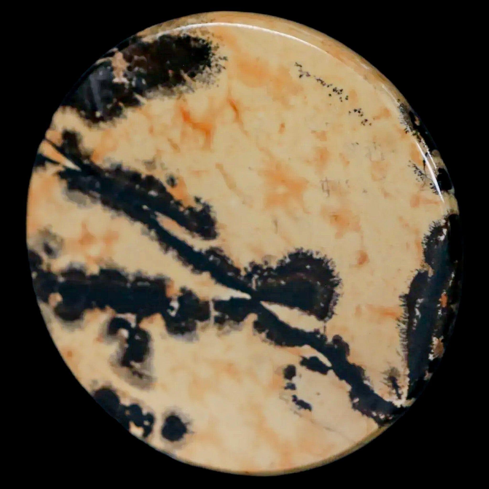 61MM Natural Chinese Picture Jasper Polished Round Slab - Mineral Specimen from Liaoning, China - Perfect for Crystal Healing, Jewelry Making & Mineral Collection Display
