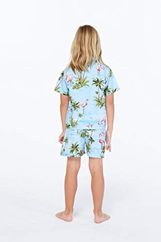 Flamingo Blue