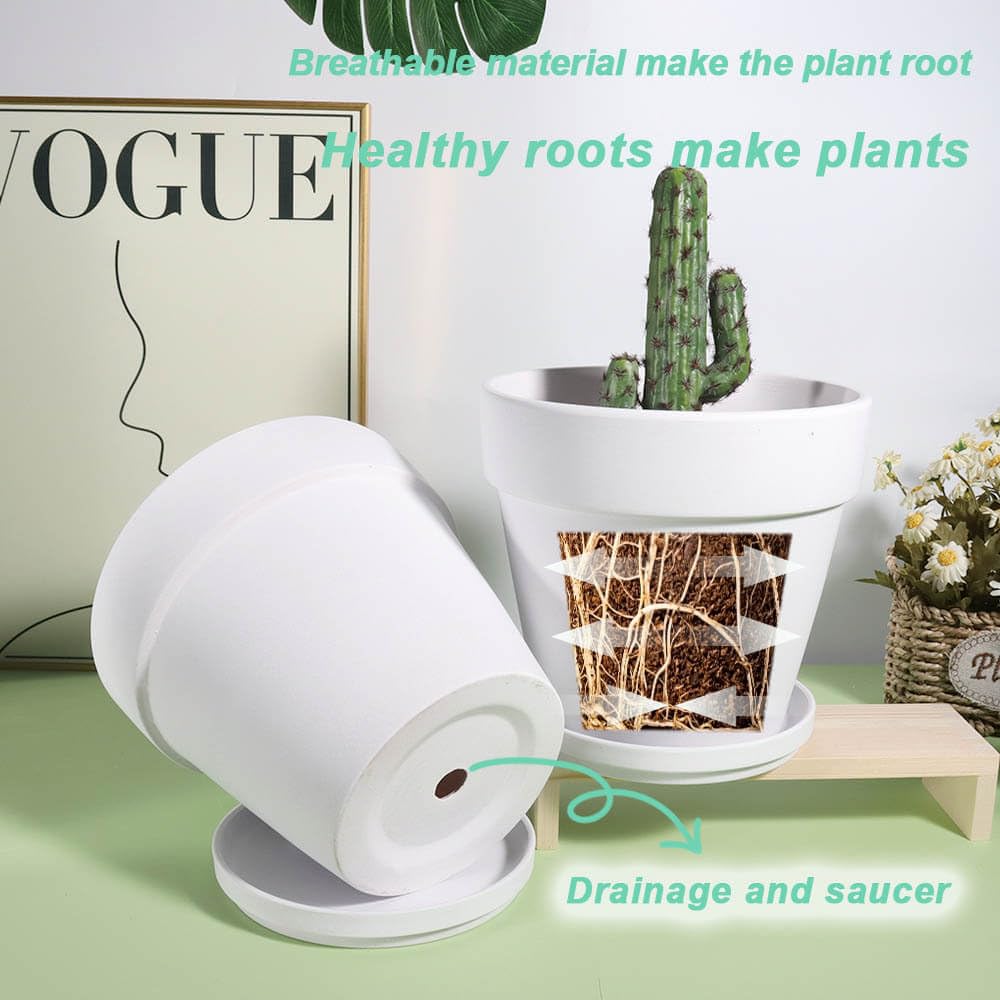 Vensovo 5 Inch White Clay Plant Pots with Saucers - 6 Pack Terra Cotta Flower Pots with Drainage Holes, Indoor Outdoor Garden Planters for Succulents, Herbs, Flowers - Perfect for Home, Office, Balcony Decor