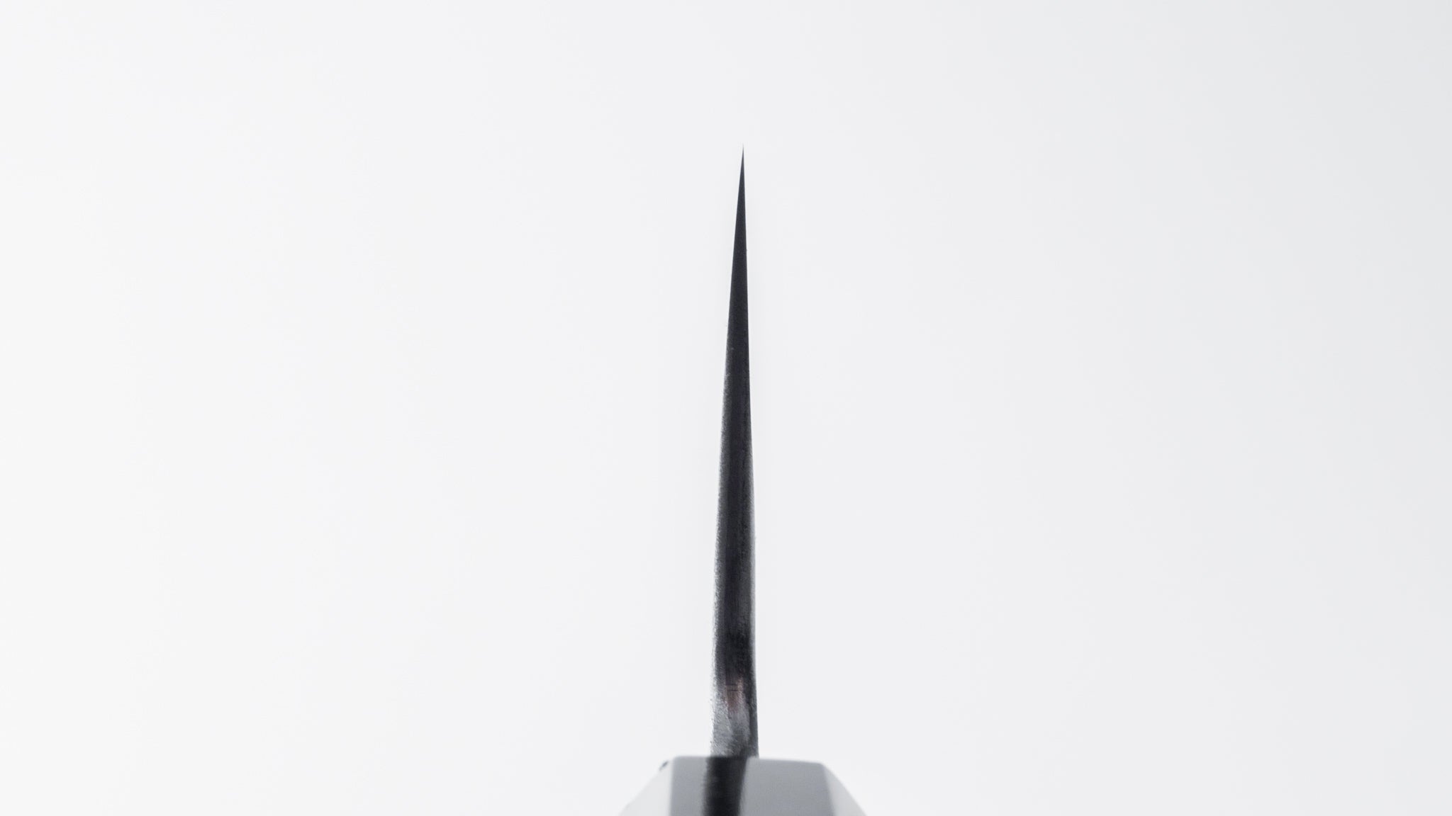 Premium Jiro Tsuchime Wa Gyuto 210mm Japanese Chef Knife with Taihei Tagayasan Handle (#040) - Perfect for Sushi, Sashimi & Precision Cutting in Professional Kitchens