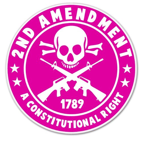 2nd Amendment Skull Pink Car Sticker Decal - Patriotic Vinyl Decoration for Cars, Laptops, Phones (2 Inch) - Perfect for Bumper, Window, or Personal Belongings