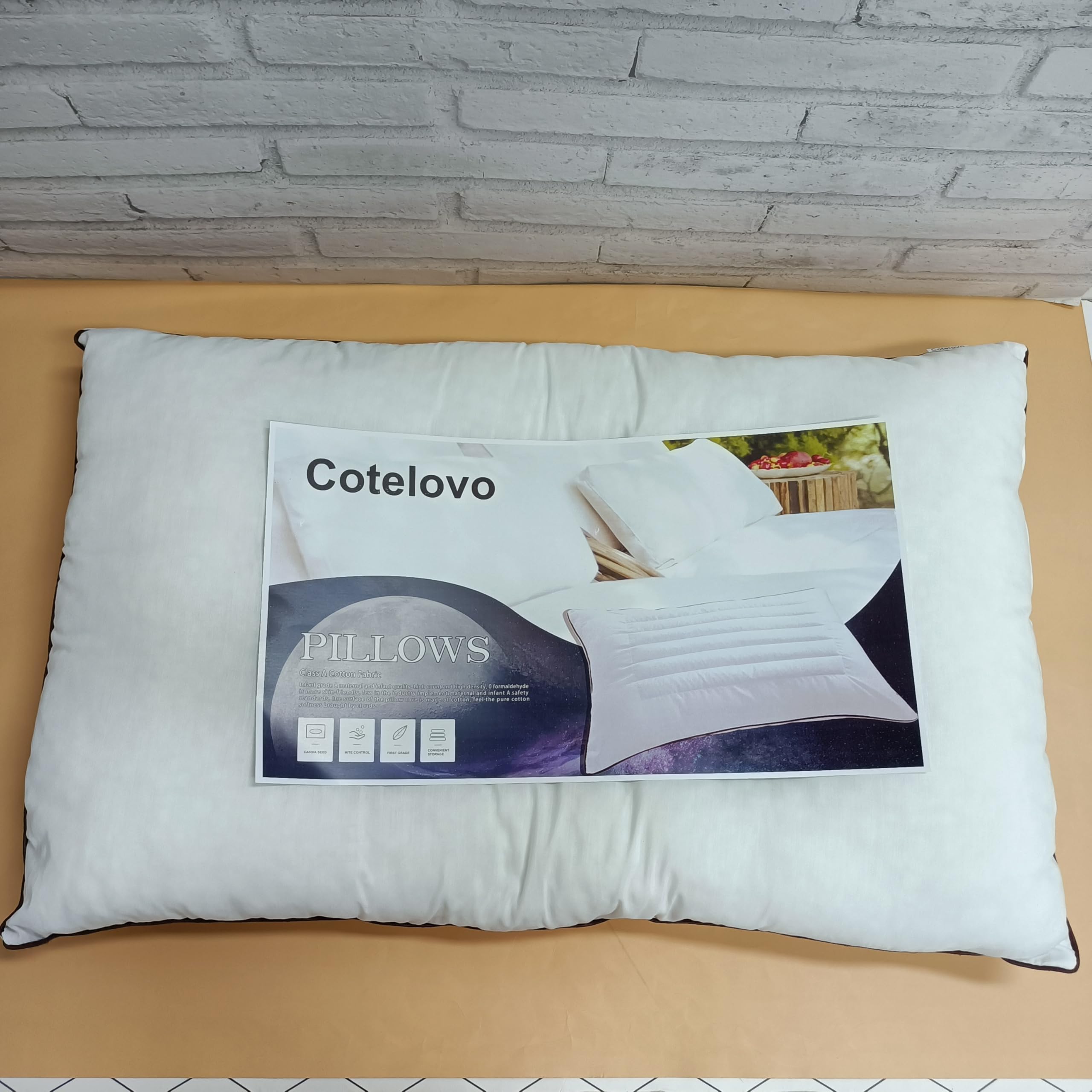 Ultra Thin Flat Pillow 2.5 Inch for Side Sleepers - Slim Low Profile Pillow with High Support - Perfect for Back Pain Relief & Travel Use