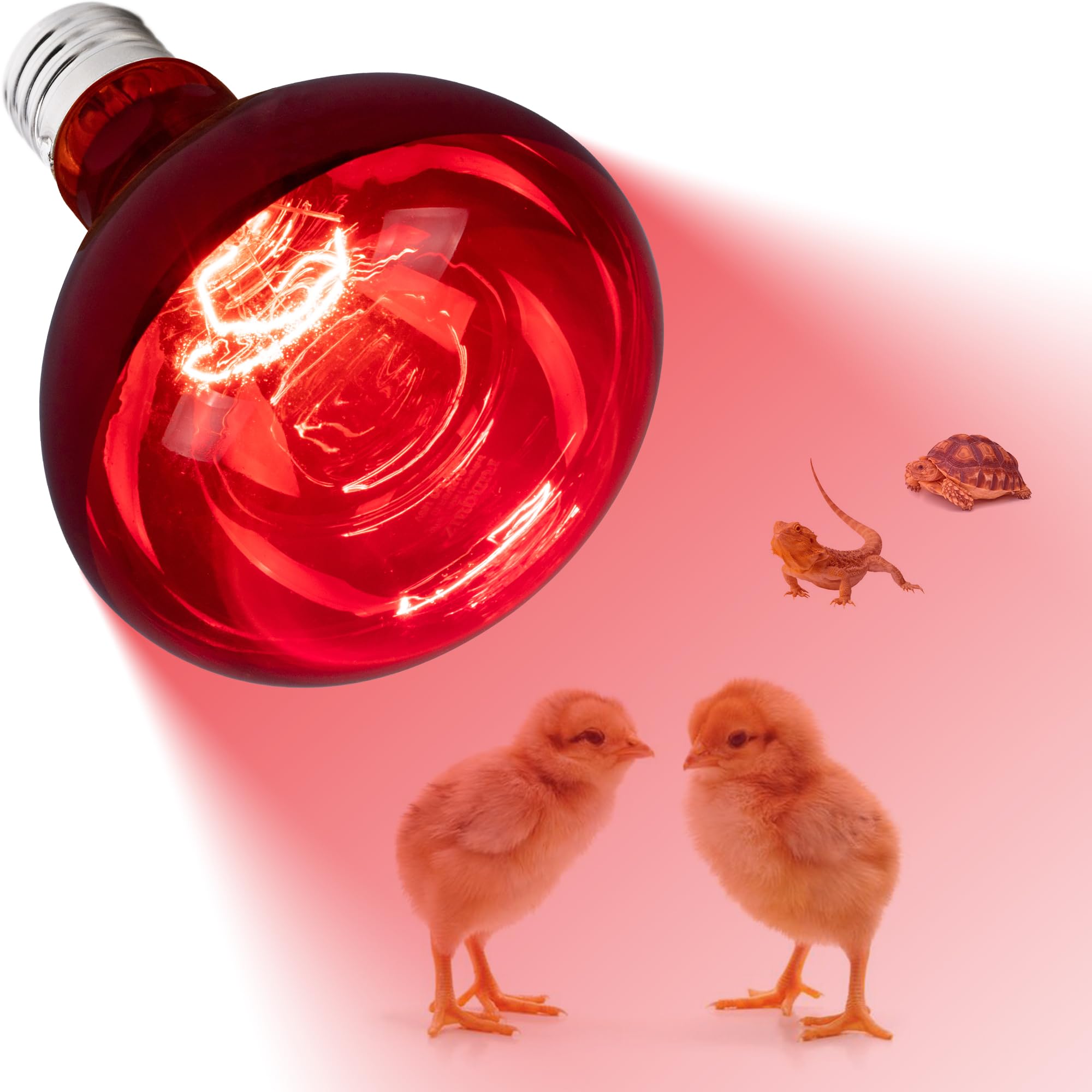 Infrared Heat Lamp Bulb 100W R40 Red Heat Light for Chicken Coop, Pet Warming, Bathroom Heating & Food Keeping - Brooder Bulb with Reflector (1 Pack) - Perfect for Poultry, Reptiles & Indoor Use