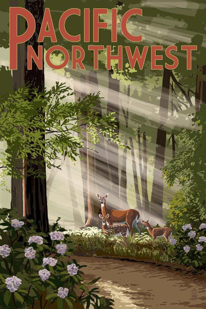 Pacific Northwest Deer in Forest - 16x24 Gallery Quality Metal Wall Art, Aluminum Home Decor for Living Room, Bedroom & Office