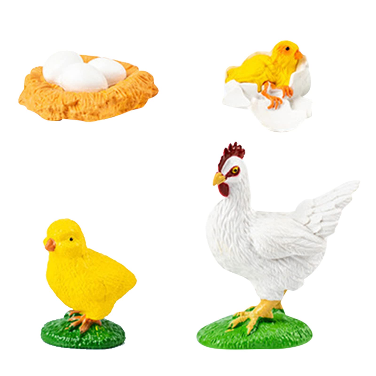 Chicken Life Cycle Growth Stage Model - Educational Plant Growth Cycle Toy for Kids - Science Learning Tool for School & Homeschool - Perfect for Classroom, Playroom & Bathtub Fun (One Size)