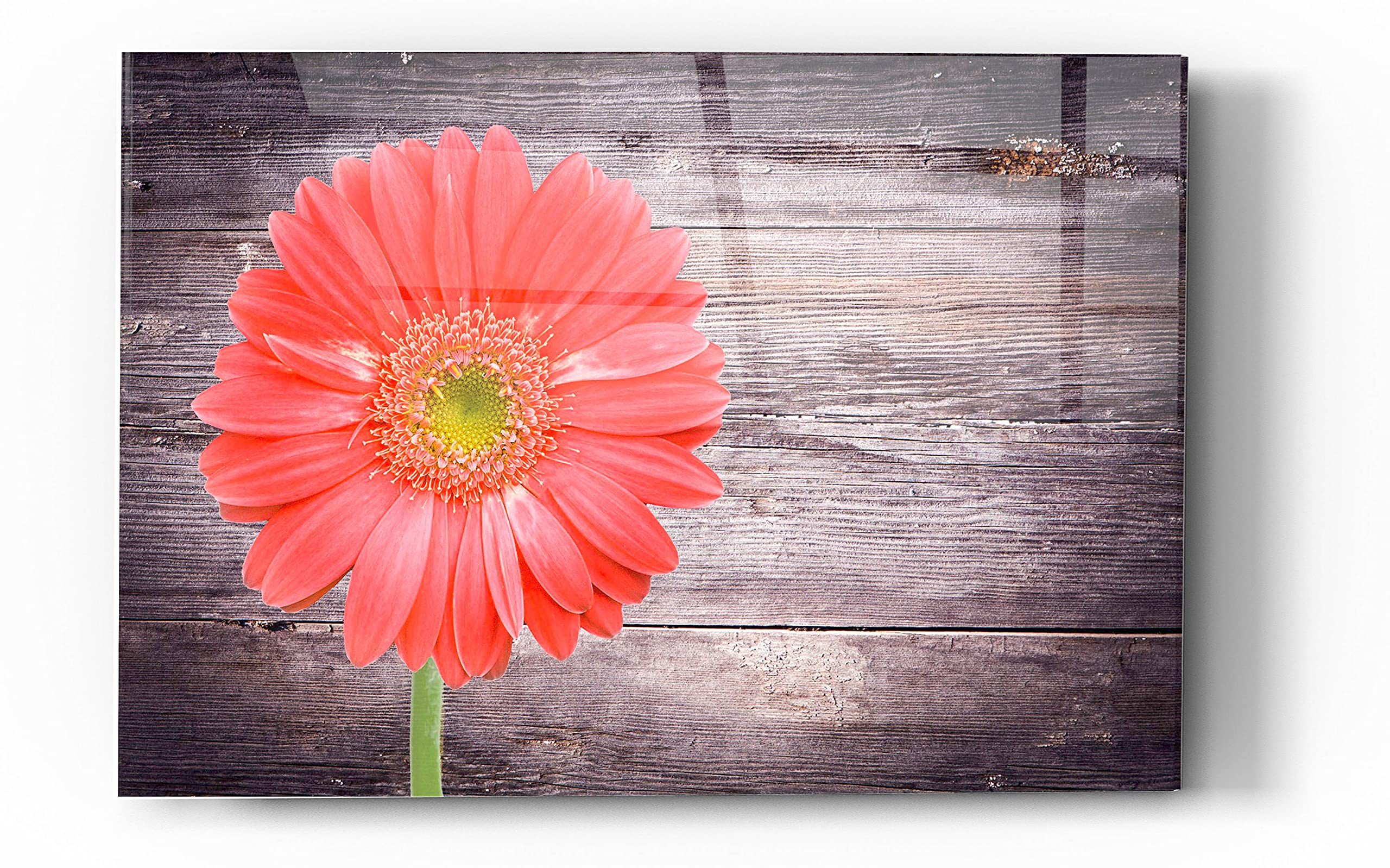 Vitamin C Acrylic Glass Wall Art - 24x36 Inches Modern Abstract Painting - Vibrant Home & Office Decor for Living Room, Bedroom, or Studio