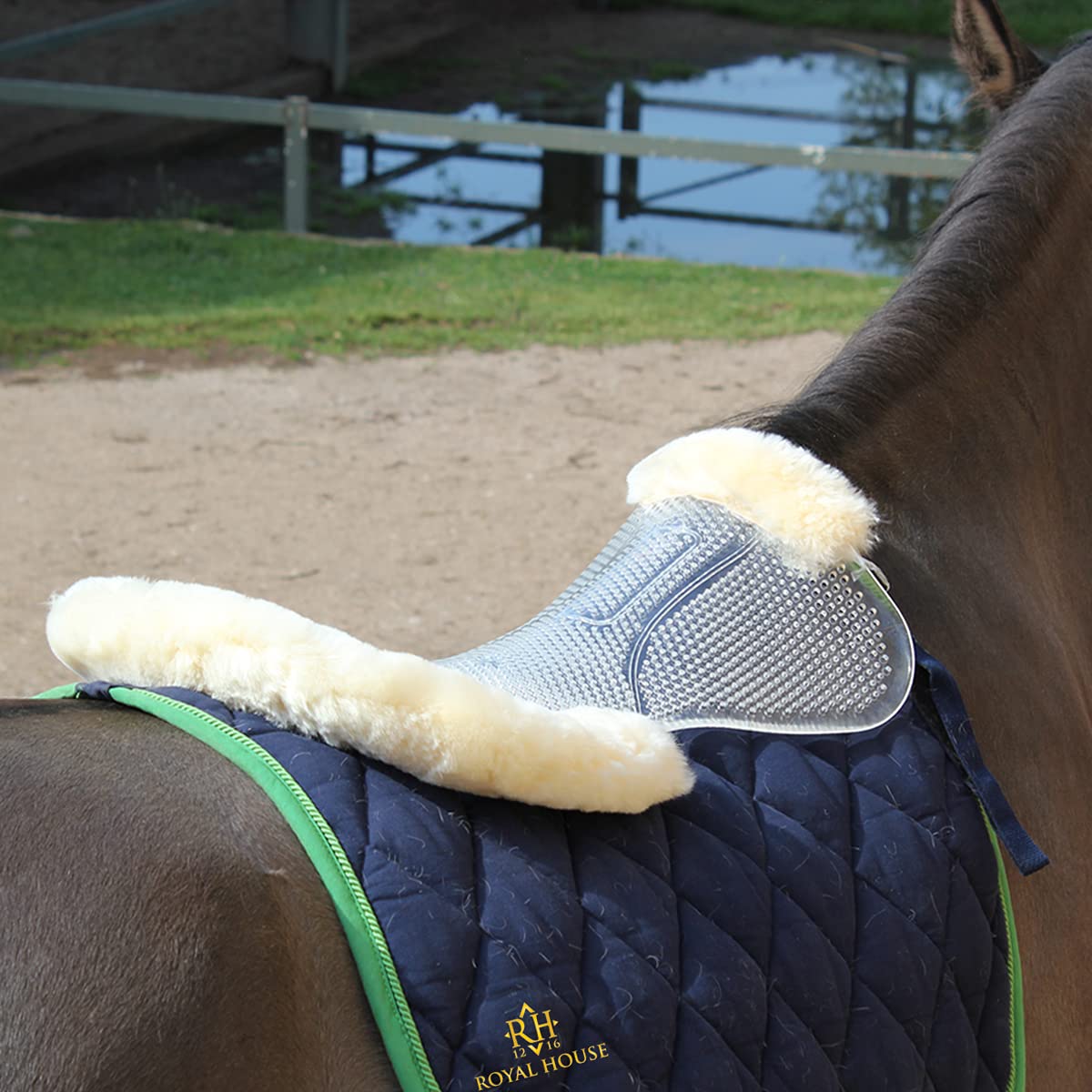 Non-Slip Horse Saddle Pad - Pressure Relief & Wither Protection - English Equestrian Pad for Dressage, Jumping & Training - Competition-Grade Impact Absorbing Pad for Performance Horses (Ideal for Show Jumping & Professional Riding)