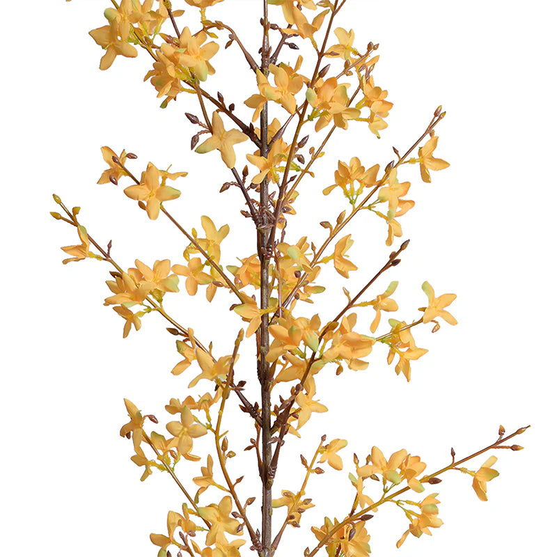 Forsythia Flower Branches - Natural Yellow Spring Decor for Home, Wedding, and Floral Arrangements | Perfect for DIY Crafts, Centerpieces, and Seasonal Displays