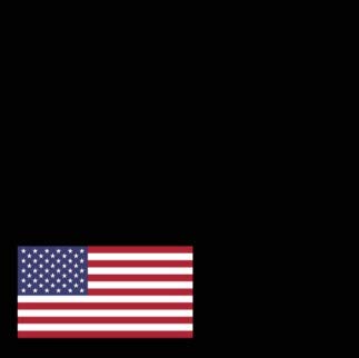 Usa Flag