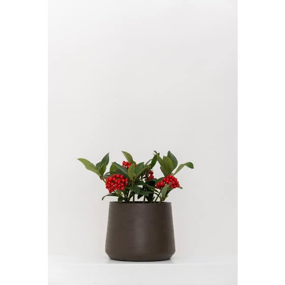 6 Inch Small Chocolate Planter 7 Inch Wide - Lightweight Washed Fiberstone Flower Pot for Indoor & Outdoor Plants - Perfect for Succulents, Herbs & Home Decor by Pottery Pots