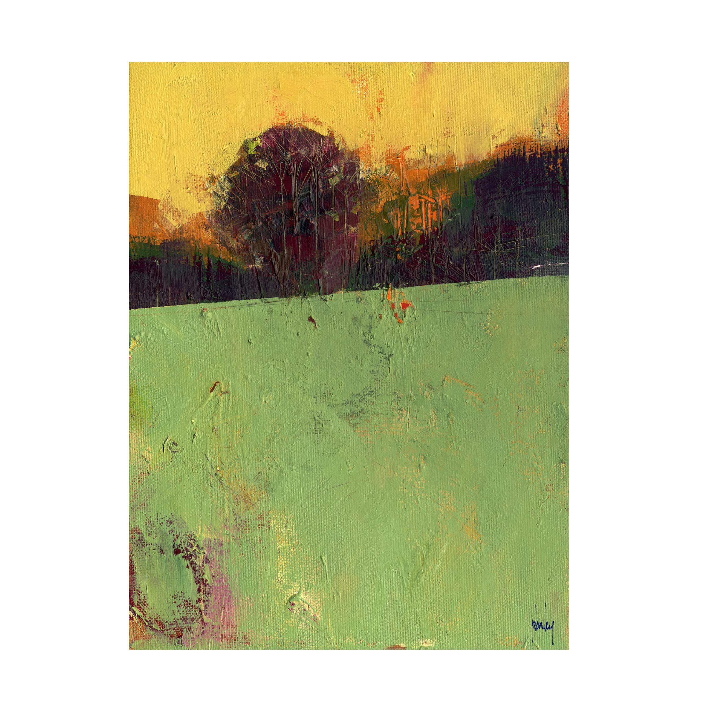 Paul Bailey 'Sundew' Canvas Wall Art Print - Botanical Nature Home Decor for Living Room, Bedroom & Office | Trademark Fine Art Collection