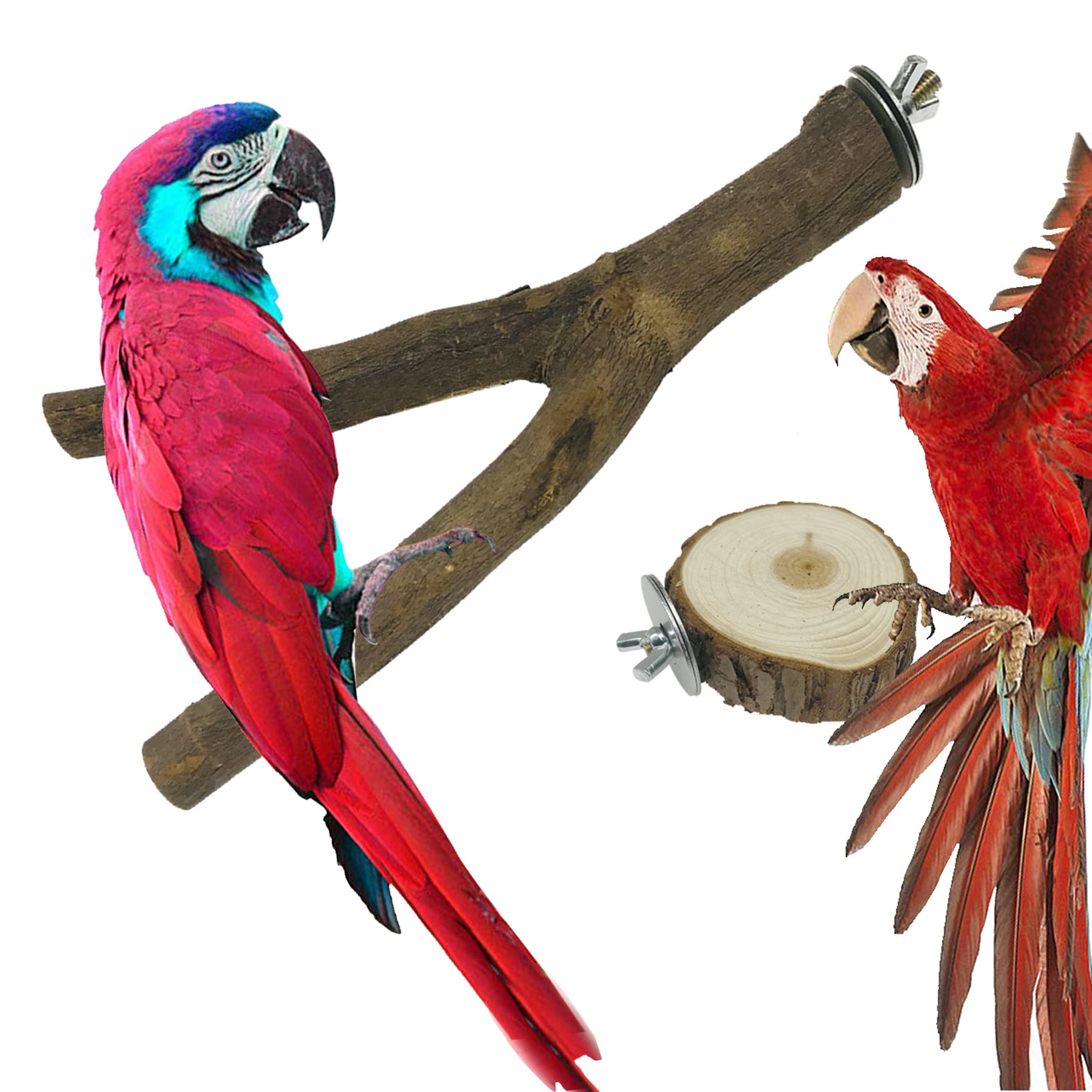 Allazone 10 PCS Natural Wood Bird Perch Stand Set - Safe Wooden Parrot Perches for Cockatiels, Budgies, Parakeets & Small Birds - Cage Accessories for Climbing, Playing & Resting - Perfect for Bird Cages & Aviaries
