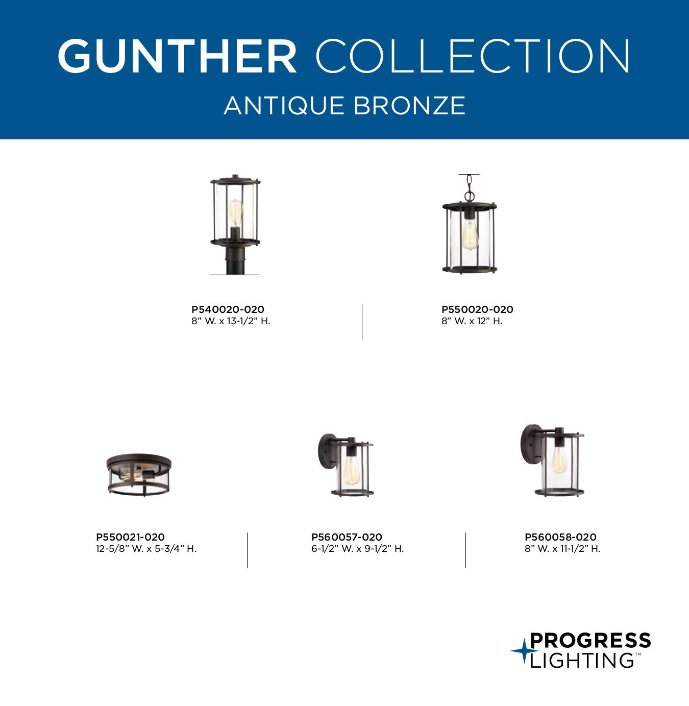 Progress Lighting P560058-020 Gunther Outdoor Bronze Wall Sconce - Weatherproof Exterior Light Fixture for Porch, Patio, and Garden Lighting