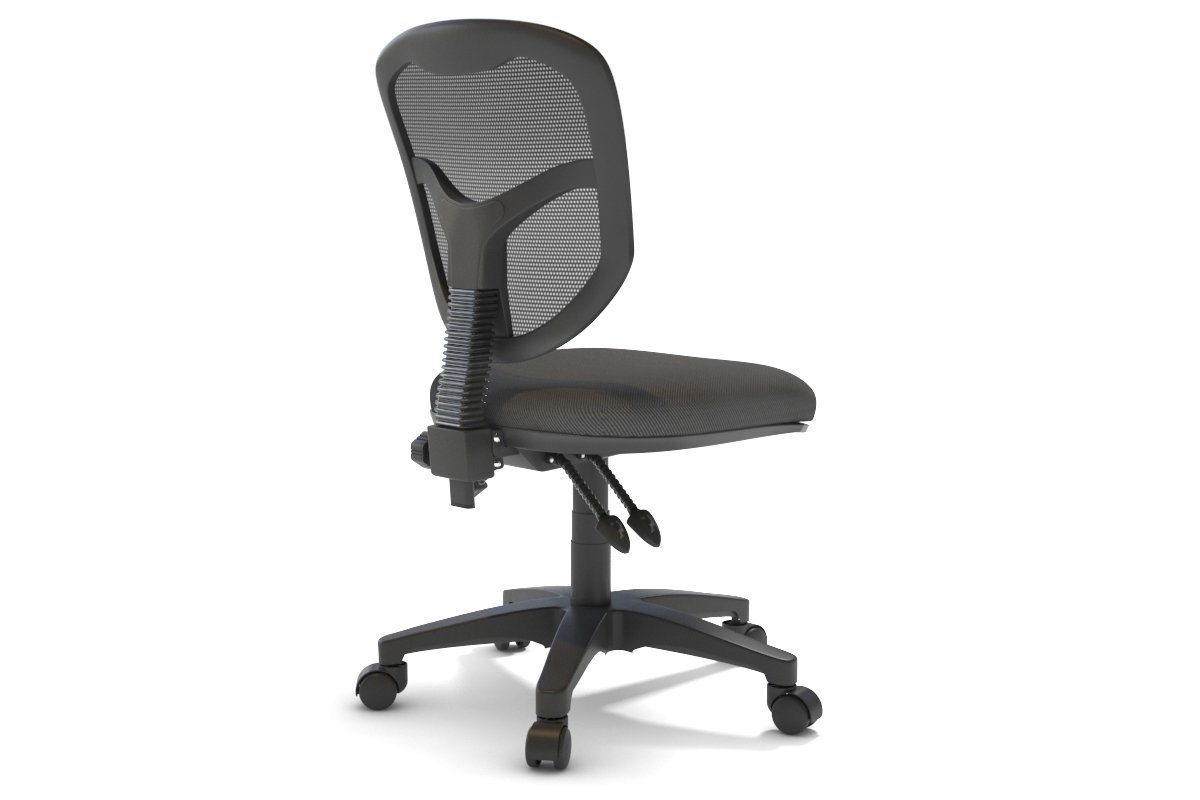 Plover Ergonomic Office Chair with Breathable Mesh Back - Adjustable Lumbar Support & Tilt Function for Home & Office Workspaces