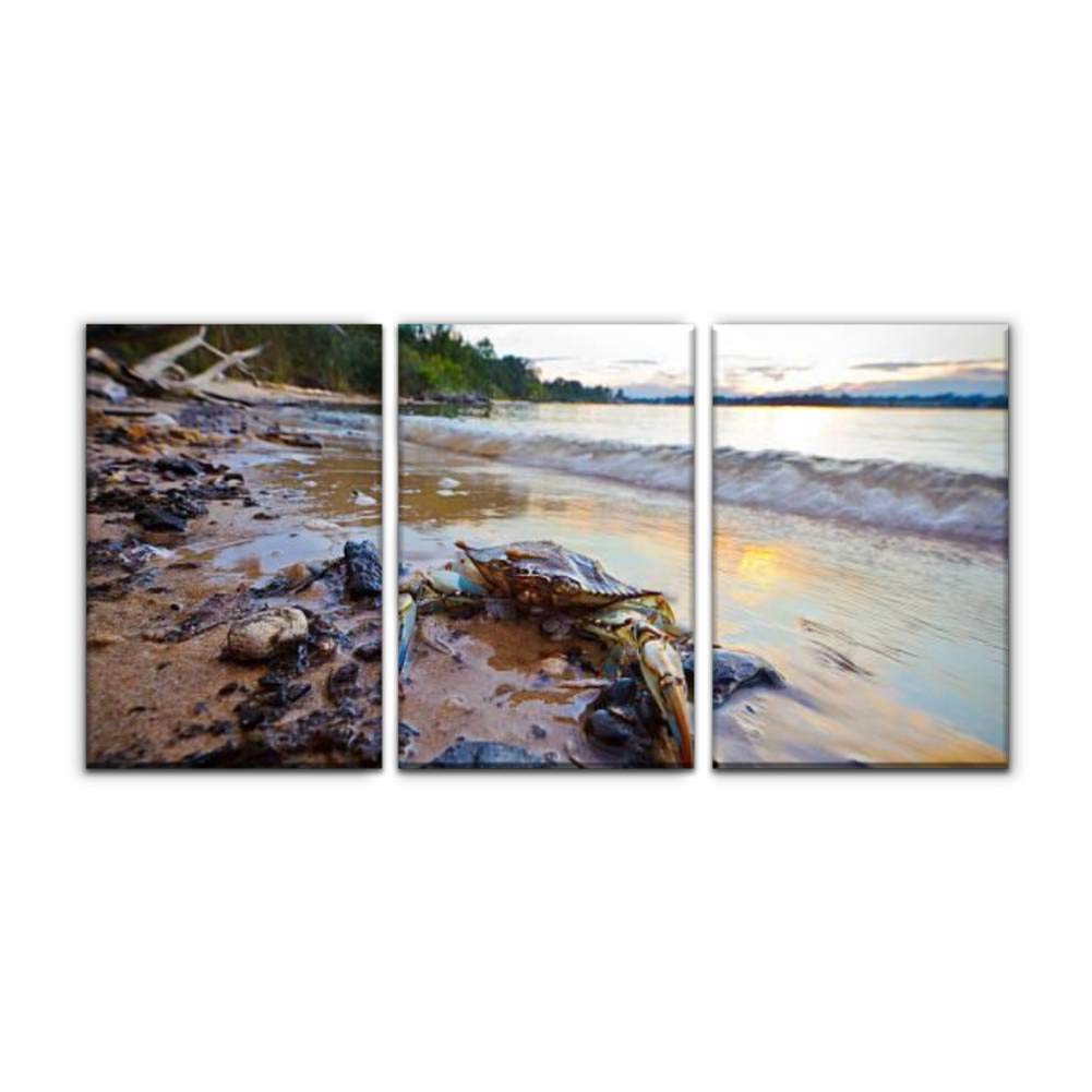 Maryland Blue Crab at Sunset on Chesapeake Bay Canvas Wall Art - Modern Printed Oil Painting Landscape Decor for Home, Office, Bedroom - Set of 3 Framed Paintings (16x24 Inches Each) - Perfect for Coastal & Nautical Theme Rooms