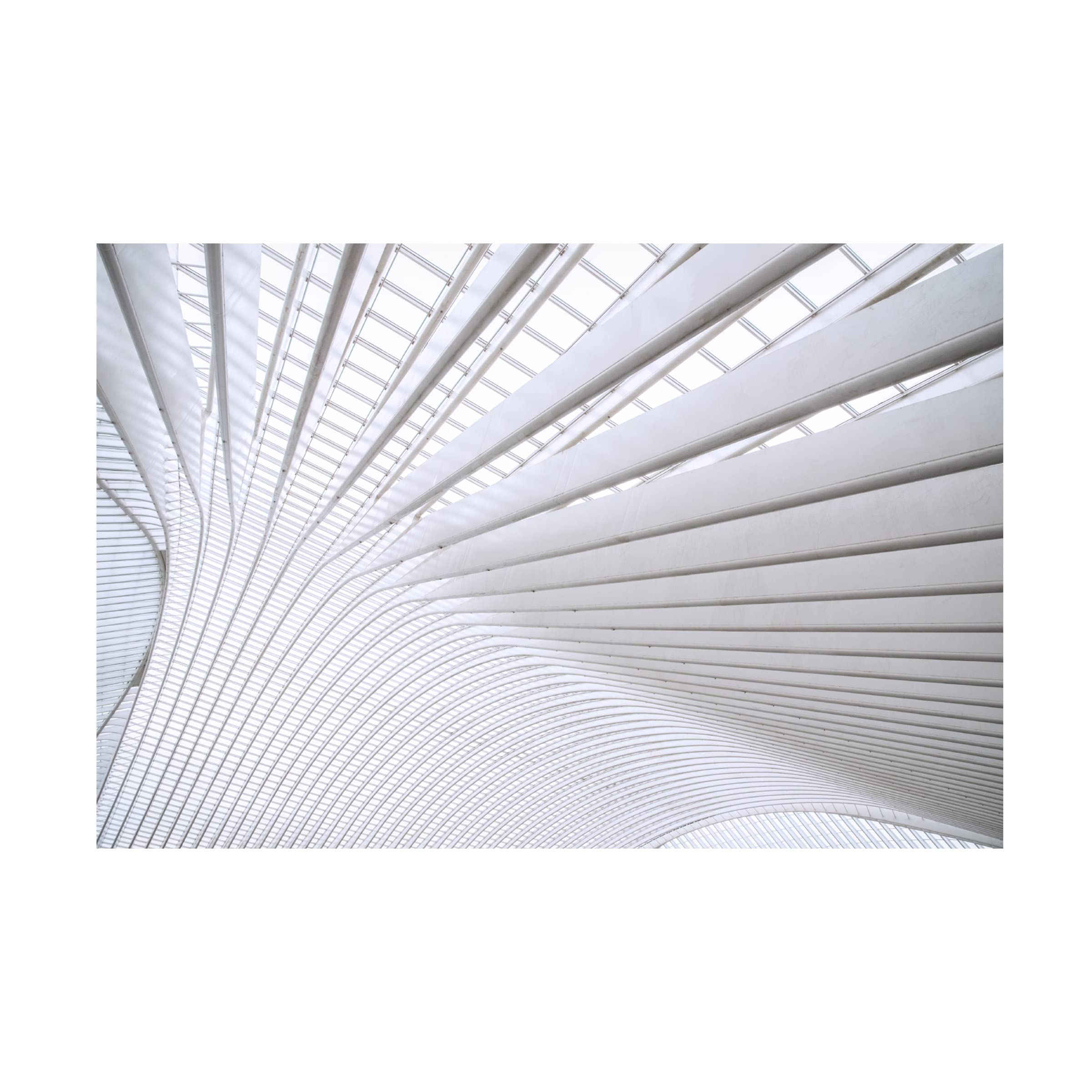 Trademark Fine Art 'Curvature' Abstract Canvas Painting by Linda Wride - Modern Wall Art for Living Room, Bedroom & Office Decor