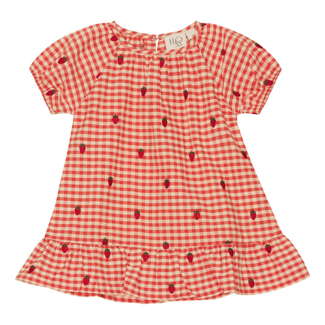 Floss Molly Berry Gingham Dress for Women - Summer Floral Print A-Line Sundress with Pockets | Perfect for Beach, Vacation & Casual Outings