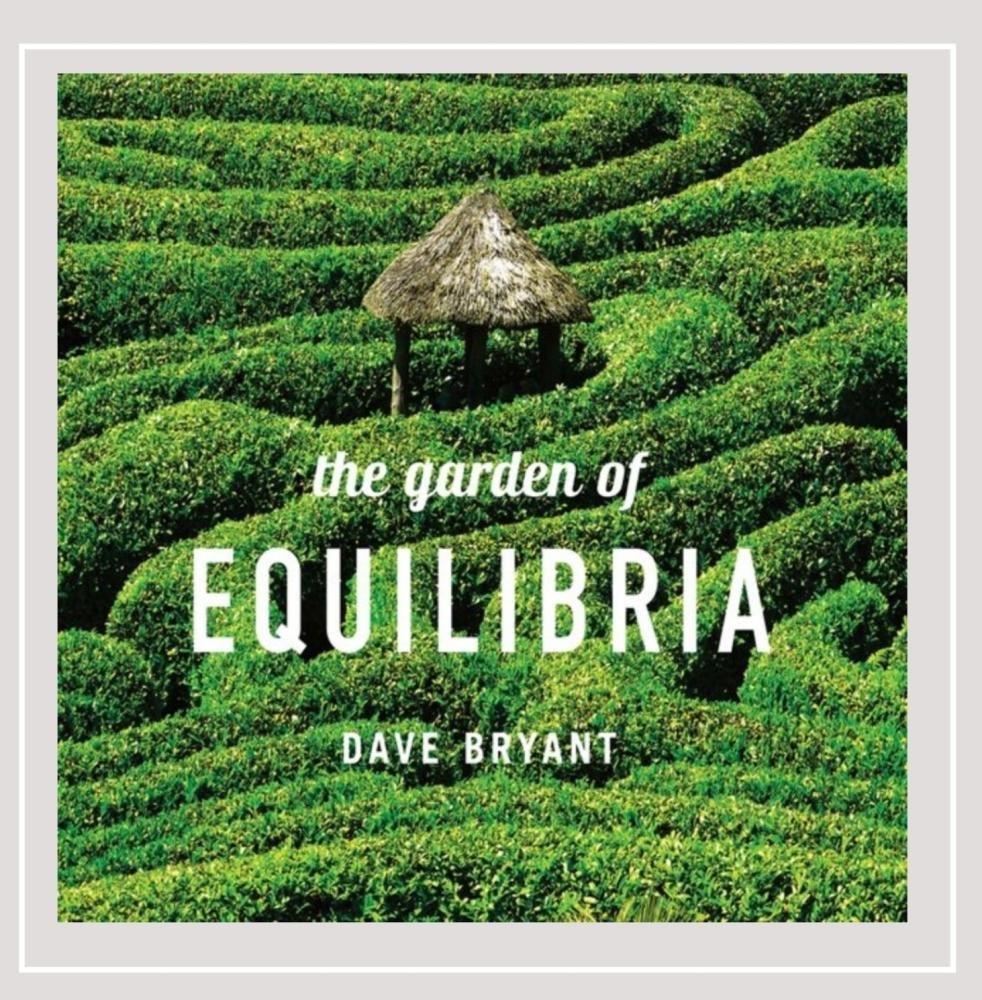 Garden of Equilibria - Premium Indoor Plants for Home & Office Decor | Perfect for Living Rooms, Bedrooms & Workspaces