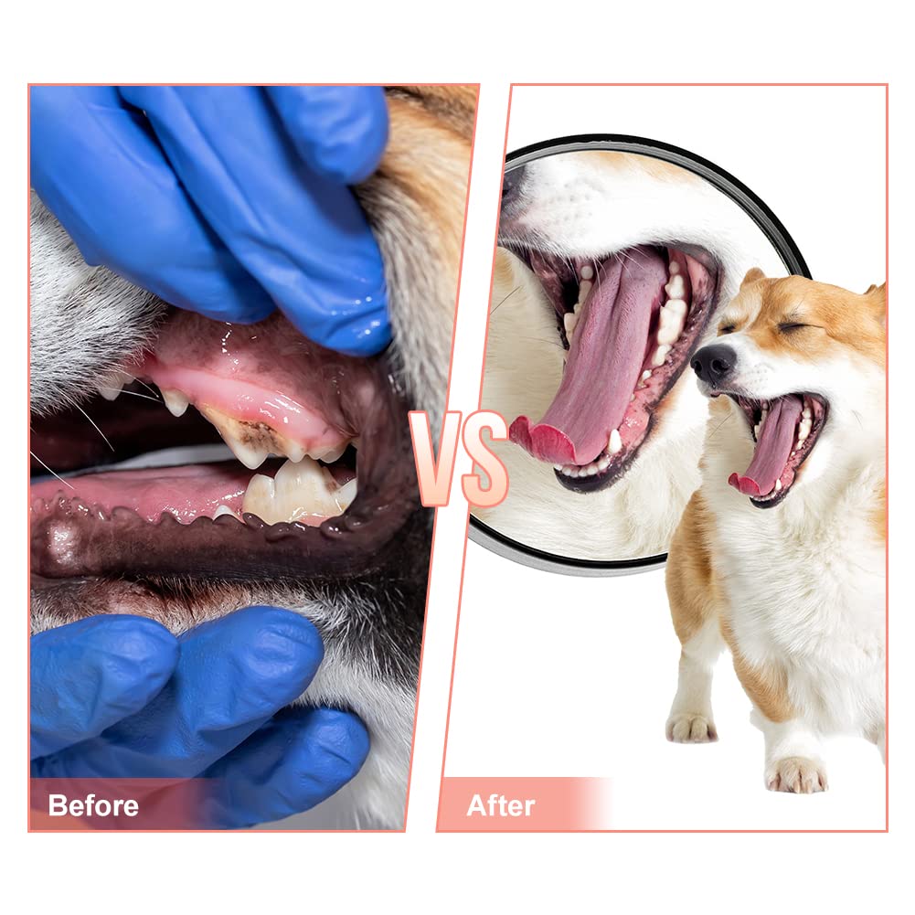 Durable Rubber Dog Chew Toys for Puppies - Tough Slipper Toy for Aggressive Chewers, Small & Medium Breed Dogs | Pet Training, Teeth Cleaning & Interactive Play | Perfect for Indoor Playtime, Outdoor Activities & Dental Health