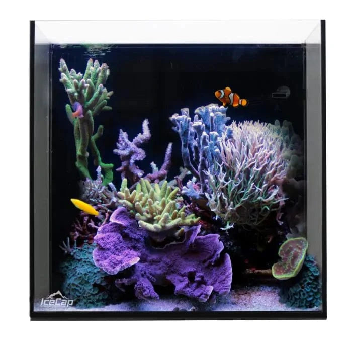10 Gallon Marine Aquarium Kit with LED Lighting - Complete Saltwater Fish Tank Setup for Beginners | Perfect for Home, Office & Classroom Aquascaping