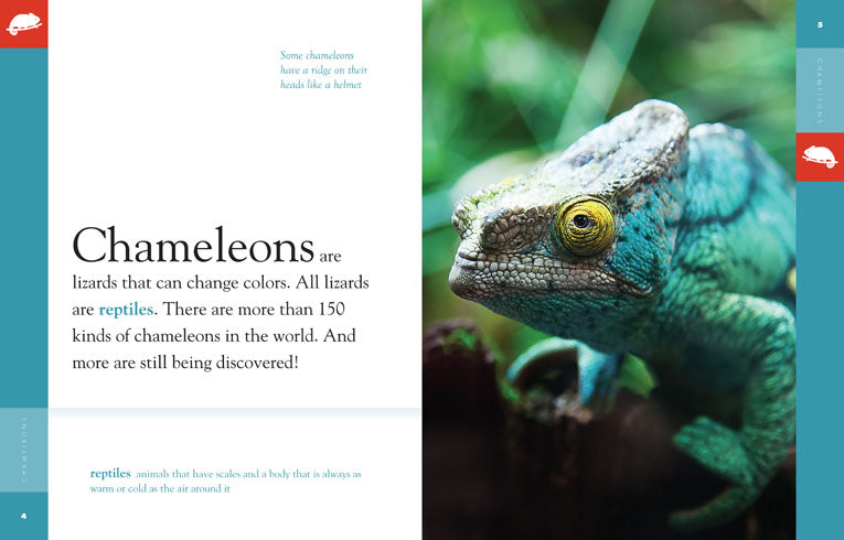 Amazing Animals (2014): Chameleons - Color Changing Reptiles for Kids & Nature Lovers | Perfect for Educational Gifts & Wildlife Documentaries