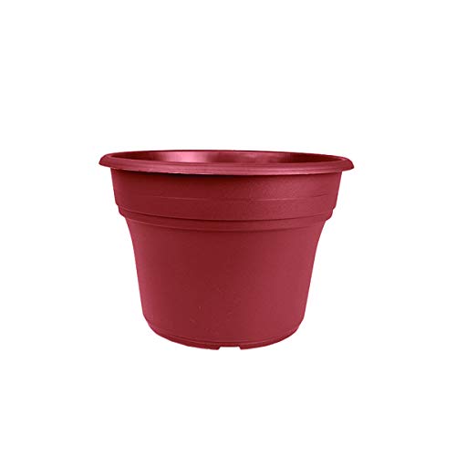 Clay