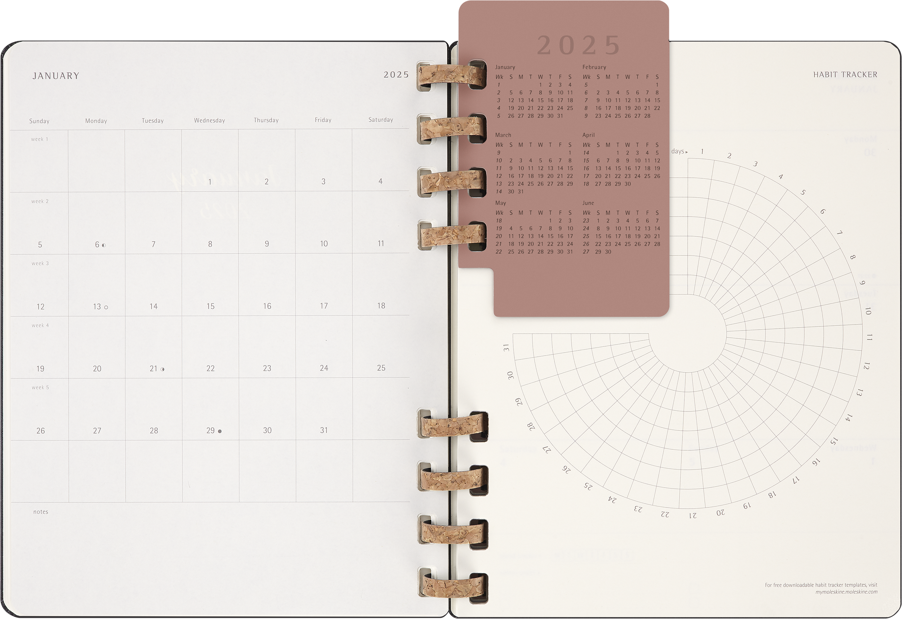 2025 Moleskine 12-Month Spiral Bound Weekly Planner - Hard Cover Notebook, 7.5