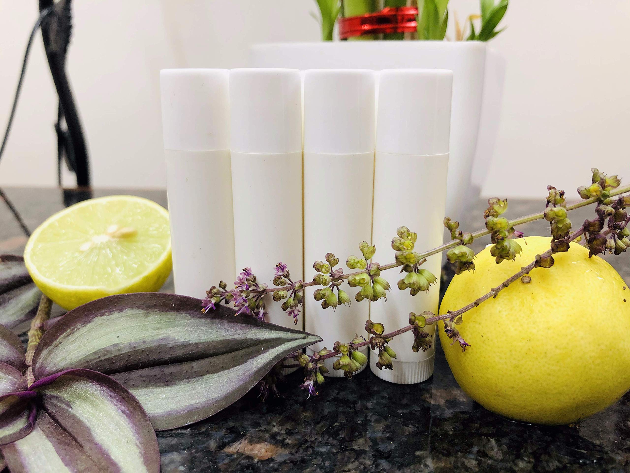Packdost 5g White Empty Lip Balm Tubes - Refillable Chapstick Containers for DIY Lipstick & Cosmetics (Pack of 20) | Perfect for Homemade Lip Care, Travel Size Makeup & Beauty Products