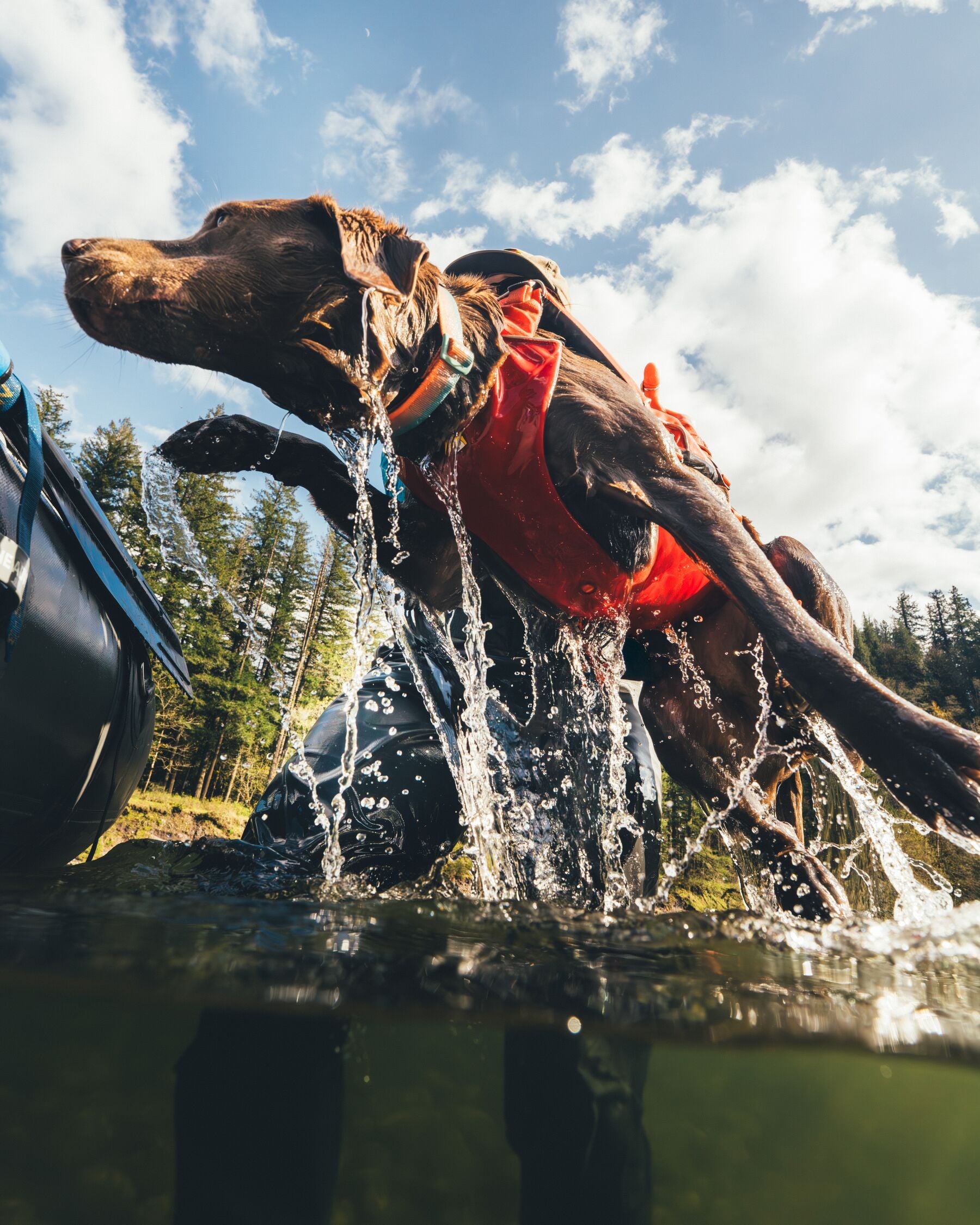 Ruffwear® Confluence™ Dog Life Jacket with Harness - Biolumin Blue | Water Safety Vest for Swimming, Boating & Outdoor Adventures