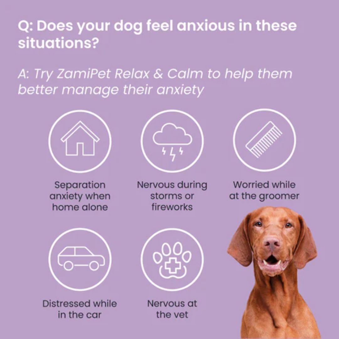 ZamiPet Relax & Calm Chewable Dog Supplement for Anxiety Relief - Natural Stress & Calming Aid for Dogs - Perfect for Thunderstorms, Fireworks & Separation Anxiety
