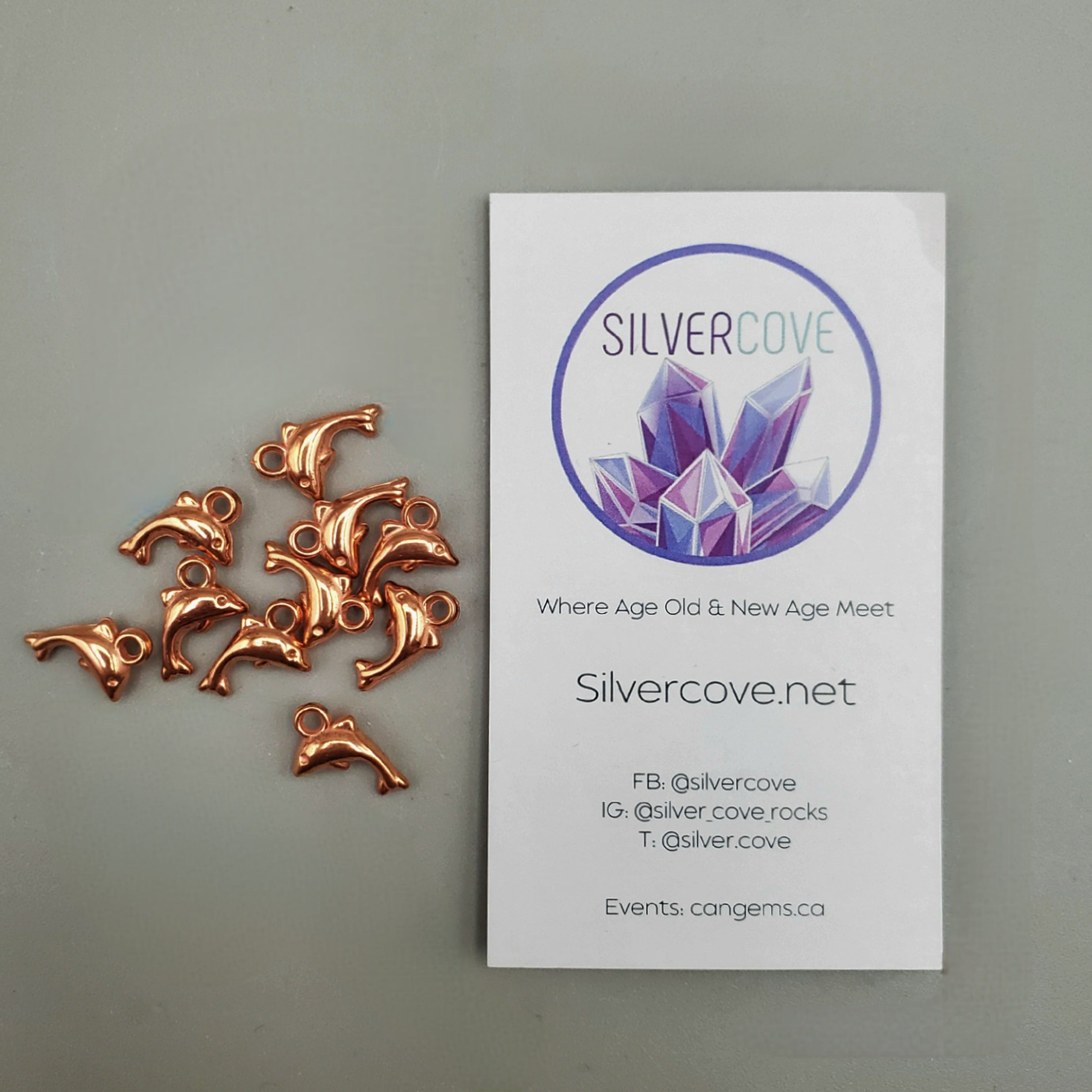 10pcs Copper Dolphin Charms for Jewelry Making - DIY Necklace, Bracelet & Keychain Supplies - Perfect for Beach Theme Crafts & Gifts