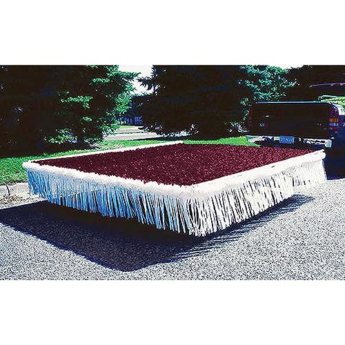 Burgundy and White