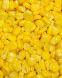 Corn Food Funny2