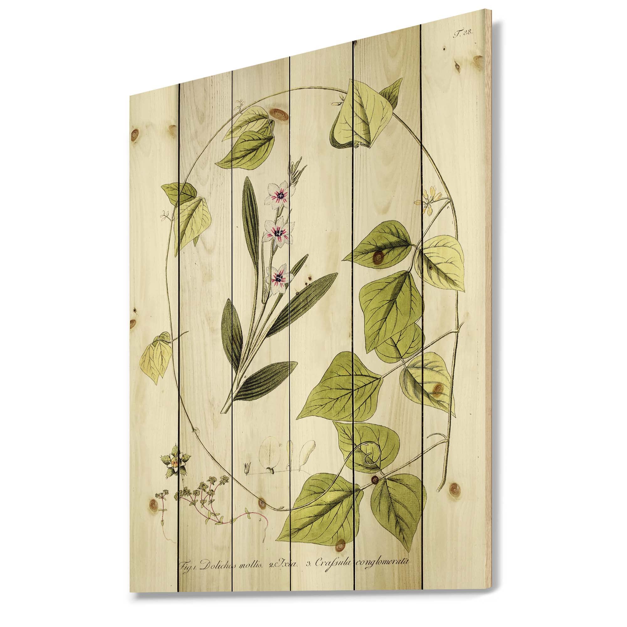 Vintage Botanicals XX1 Traditional Wood Wall Decor - Large Floral Wall Art Panels Printed on Natural Pine Wood - Perfect for Living Room, Bedroom, or Office Decoration