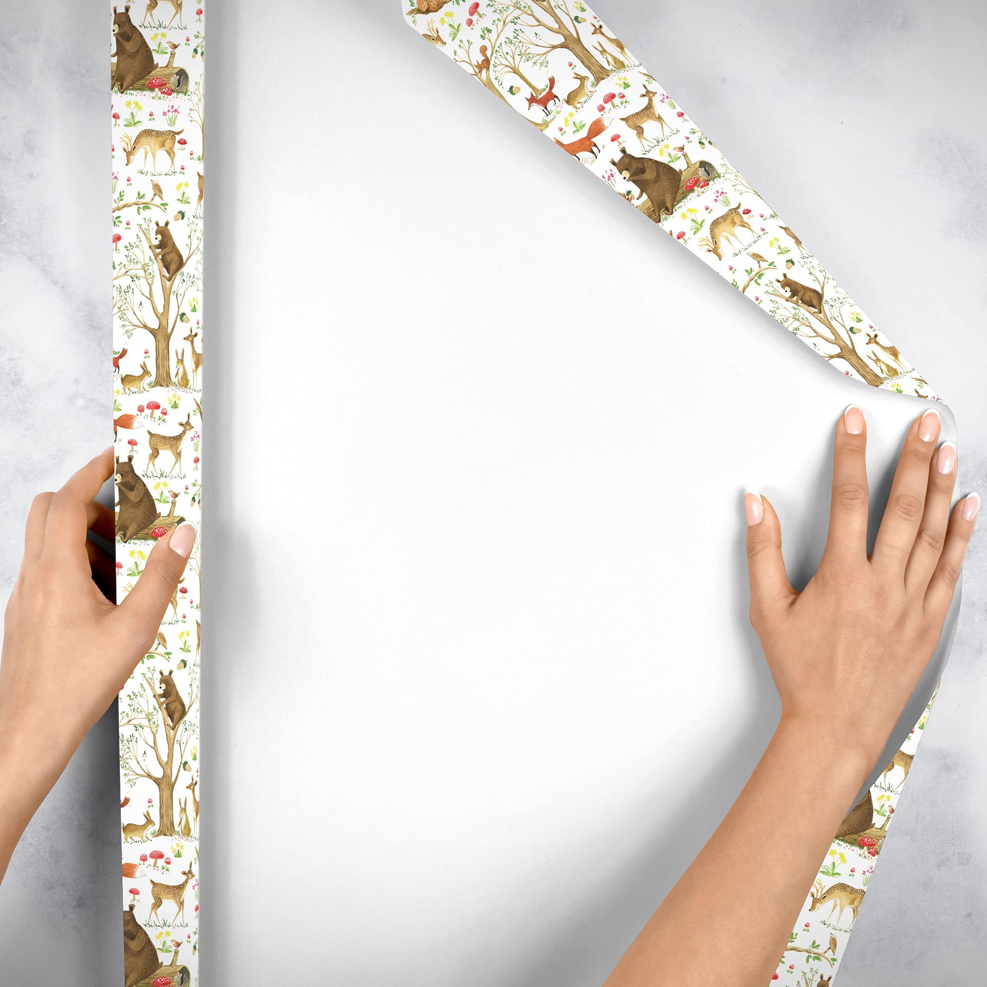 Jillson Roberts Bulk Gift Wrapping Paper - Fairytale Forest Design, 1/4 Ream (208 Feet x 24 Inches) - Premium Holiday Wrapping Paper for Christmas, Birthday & Party Gifts