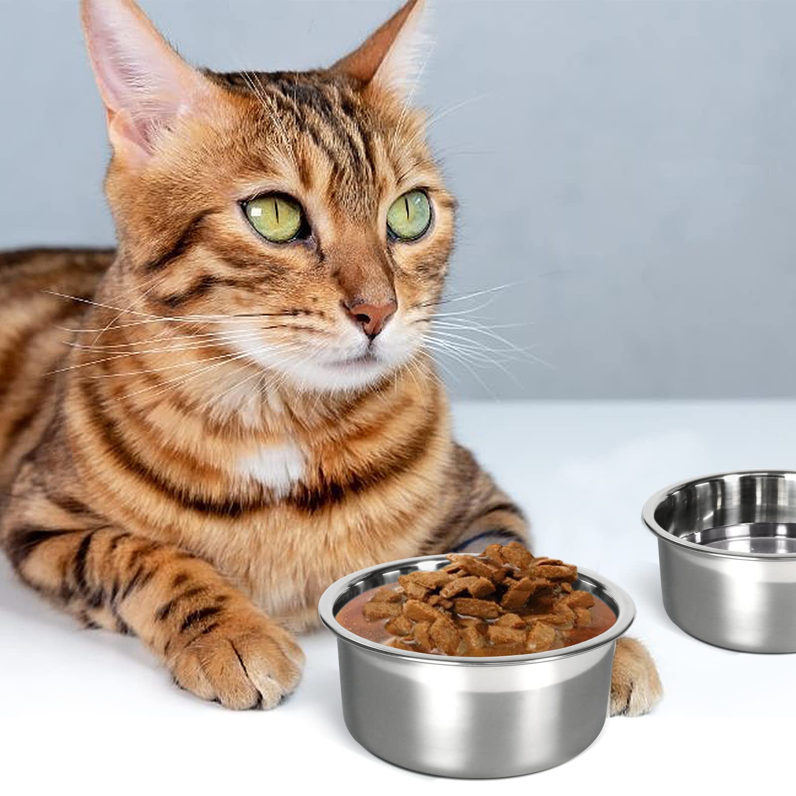 No Spill Hanging Kennel Water Bowl - 2 Pack Durable Cage Crate Feeder for Cats & Small Dogs - Perfect for Travel, Crate Training & Outdoor Adventures