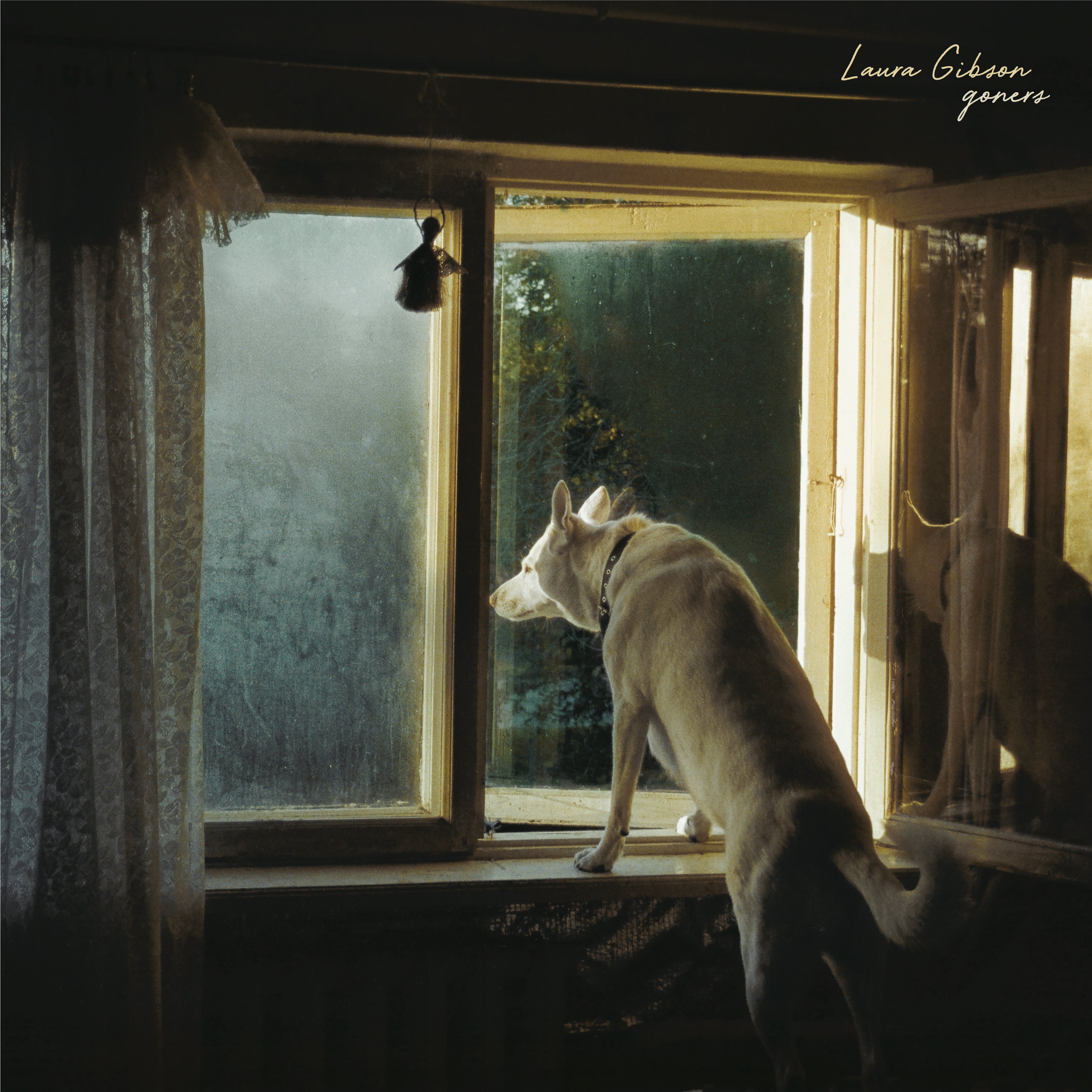 Preorder Goners CD - Limited Edition Music Album | Perfect for Collectors & Music Lovers - Enjoy at Home, Parties & Gifts