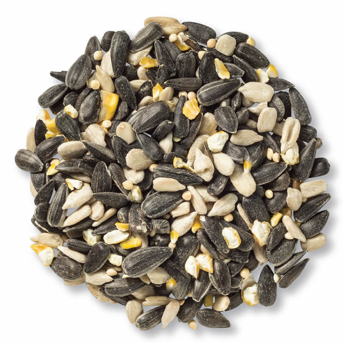 Cole's Blue Ribbon Blend Wild Bird Seed - Premium 5 lb Bag for Attracting Wild Birds - Perfect for Backyard Feeders & Bird Watching
