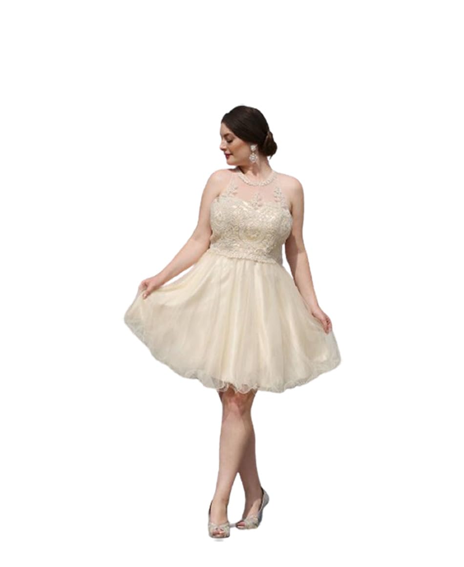 FDS1643 Semi-Formal Homecoming Dress for Women - Champagne Color, Size 6 - Elegant Prom, Cocktail Party & Special Occasion Dresses