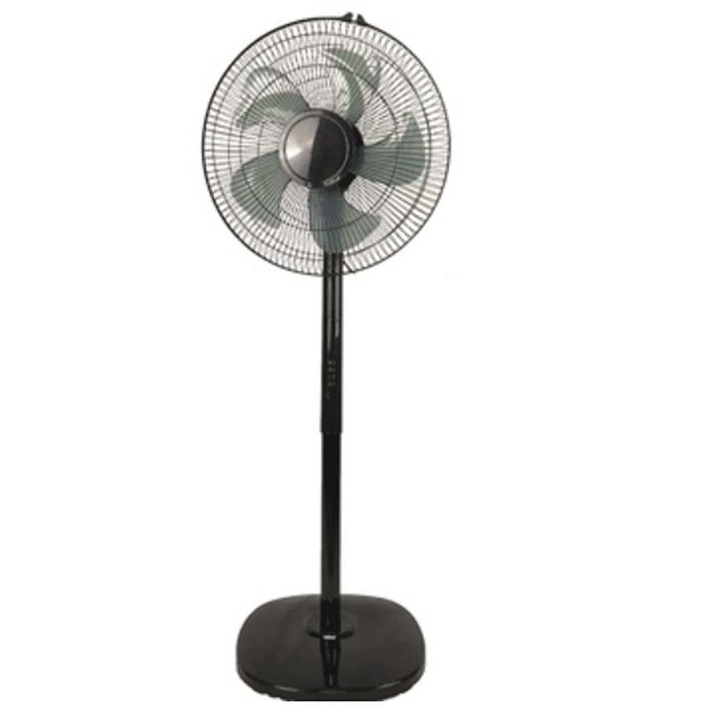 High-Performance 16-Inch Pedestal Fan with Remote Control - 120° Wide Oscillation, 3-Speed Settings & Ultra-Quiet 5-Blade Design - Ideal for Home, Office, Bedroom & Living Room Cooling (Black)