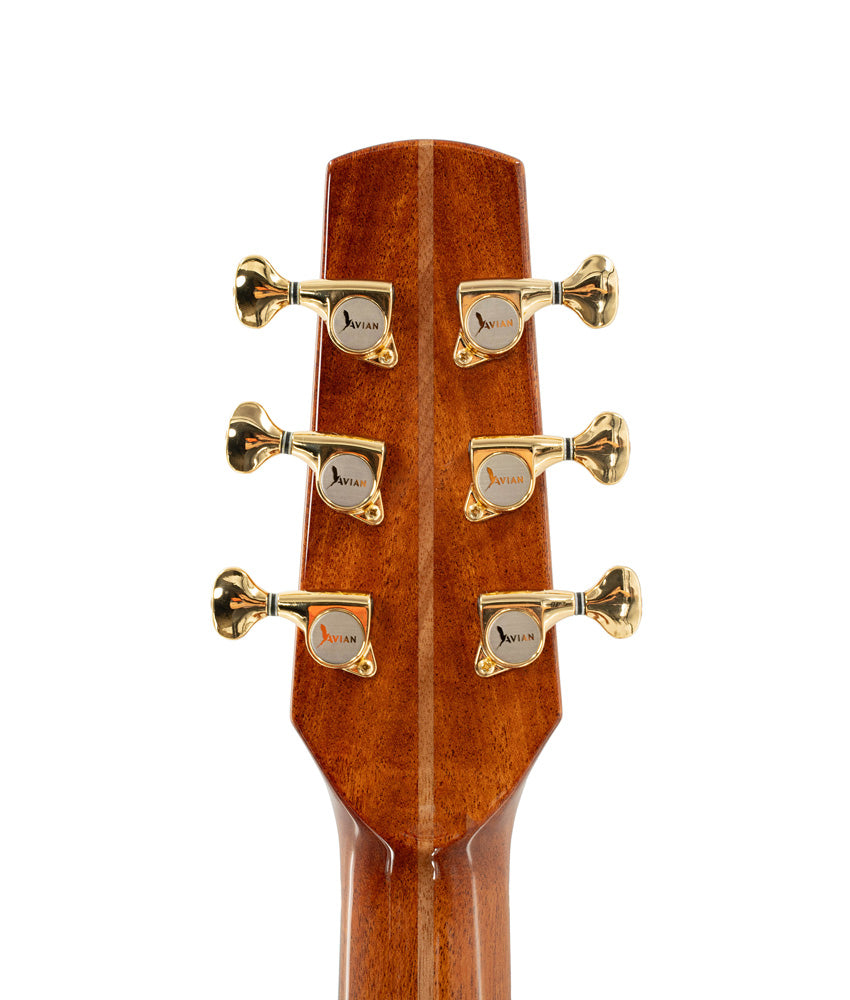 Avian Guitars Songbird Acoustic Guitar - 2A Mahogany Body with Warm Tone | Perfect for Beginners, Camping & Live Performances