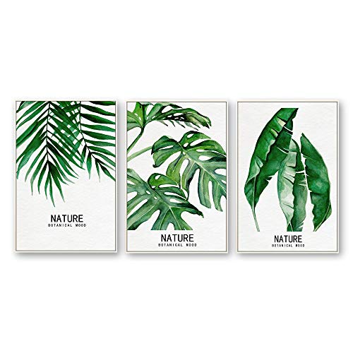 Plants-1909-n03